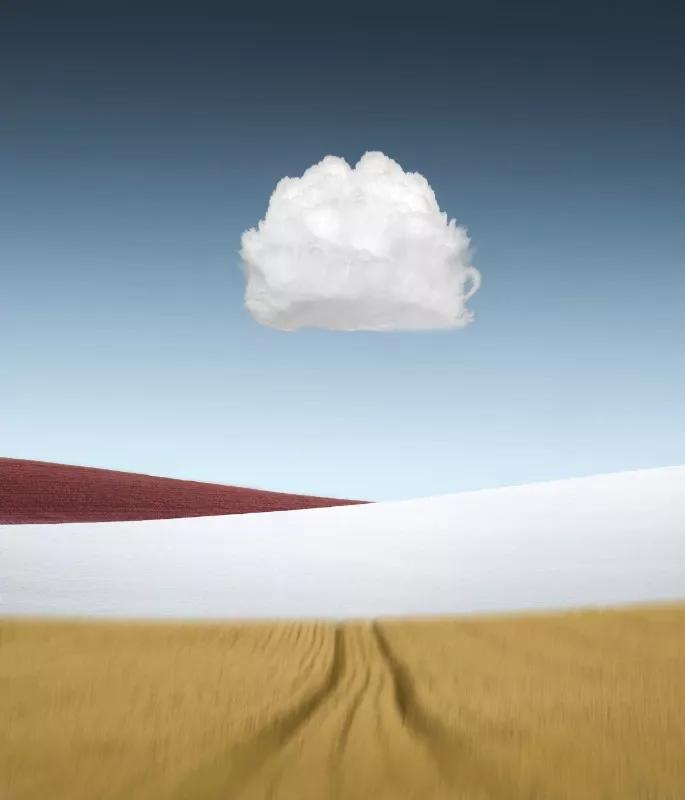 2021年索尼世界摄影大赛专业奖,2020年索尼世界摄影大赛