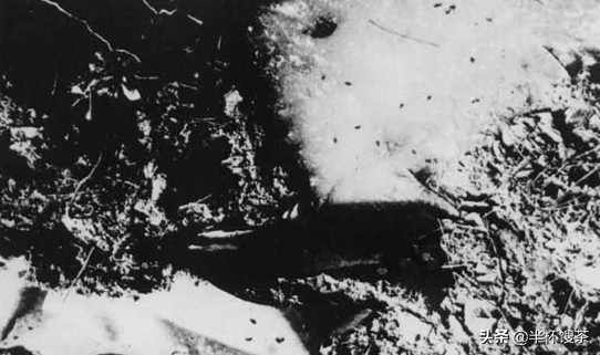 鐑熶簯姹熸箹浜屾垬,鐑熶簯姹熸箹1983瑙嗛