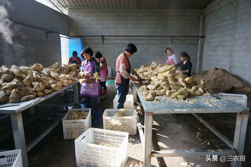 适合农民做的小生意有哪些,适合农民在家做的副业项目是什么