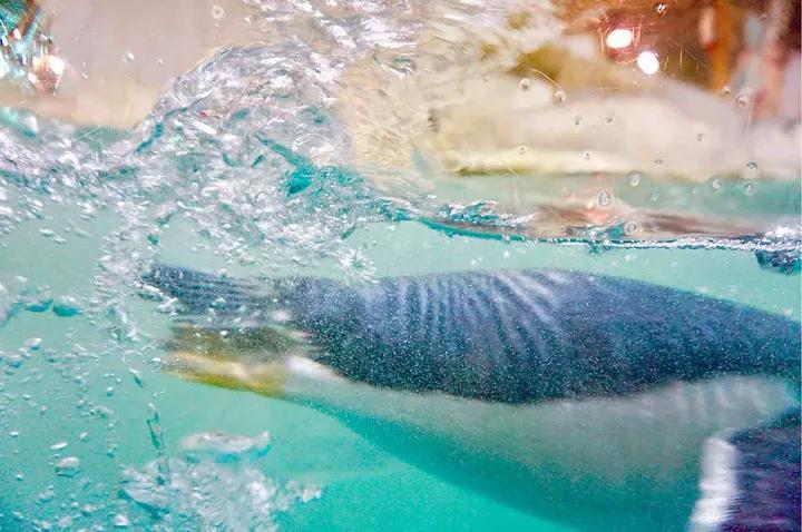 大连旅游攻略精致景点推荐,大连必去的打卡景点