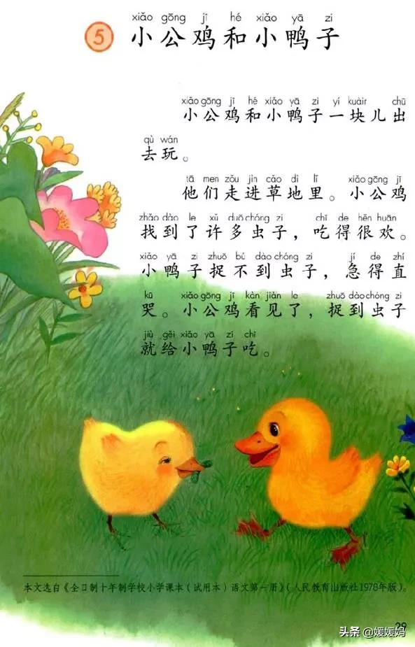 一年级小公鸡和小鸭子仿写句子,一年级小公鸡和小鸭子的看图写话