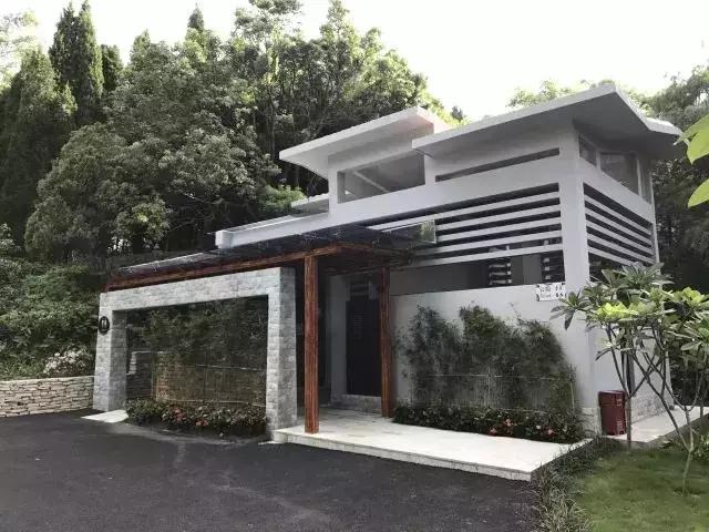 深圳，一个连拉屎都要发朋友圈的城市