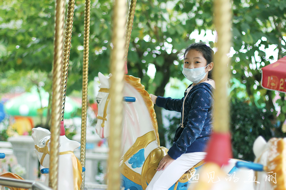 百万葵园有多坑,百万葵园免门票