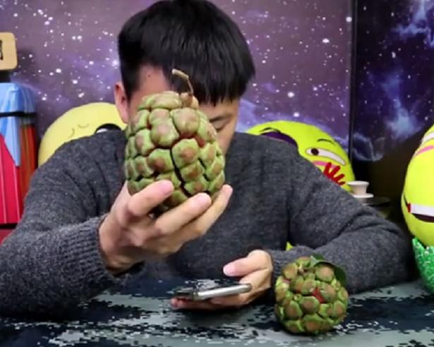 试吃恶魔果实视频,试吃恶魔果实