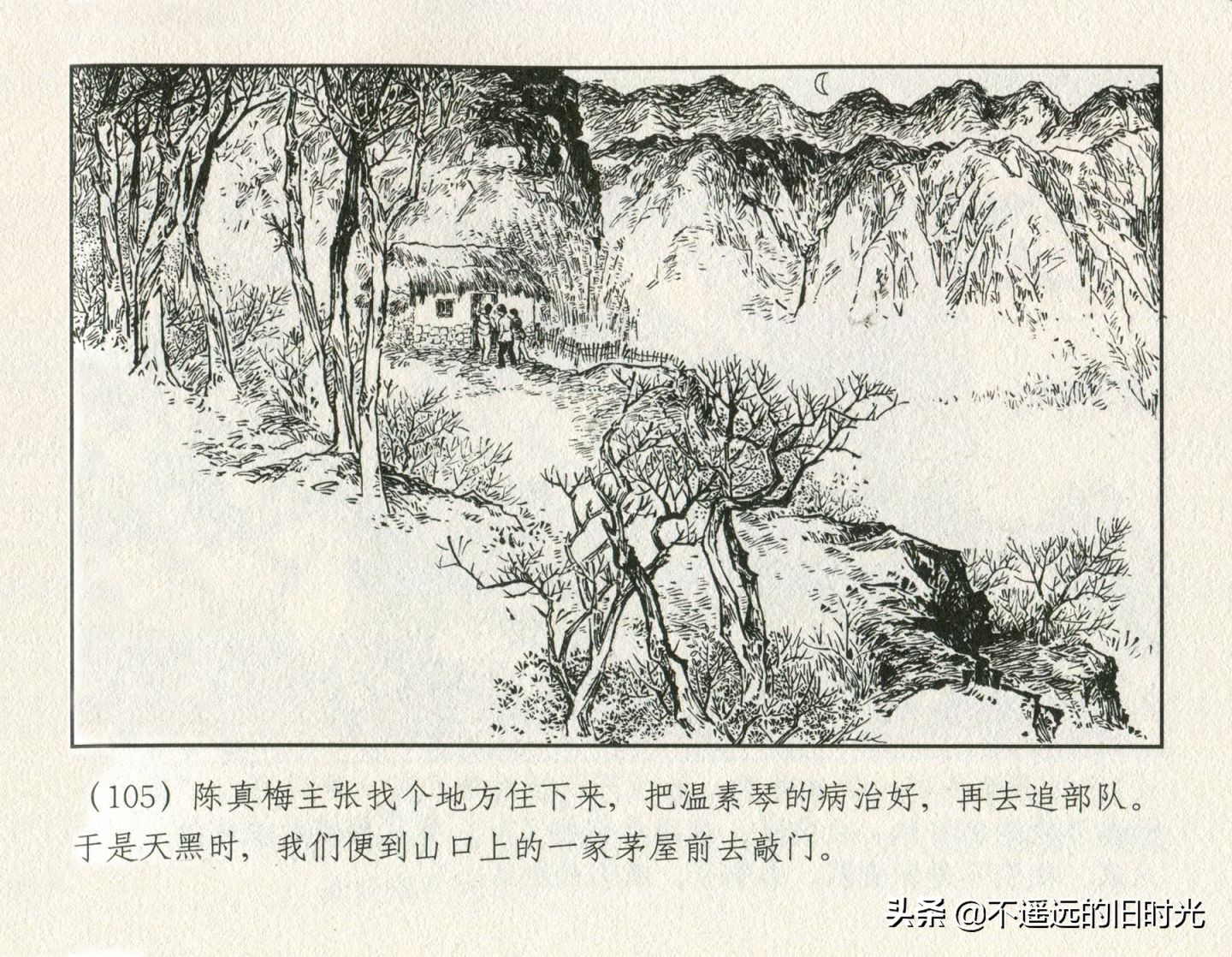 朝阳花-上海人民美术出版社1981初版2016再版陆成法陆小弟绘