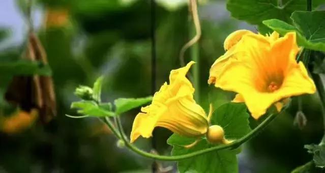 教学艺术的最高境界,艺术的最高境界是什么