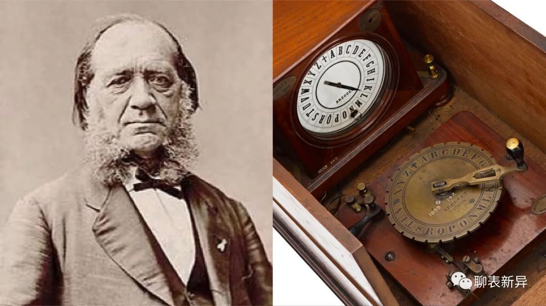 百里鸽是什么鸽,百里鸽是什么鸽图片