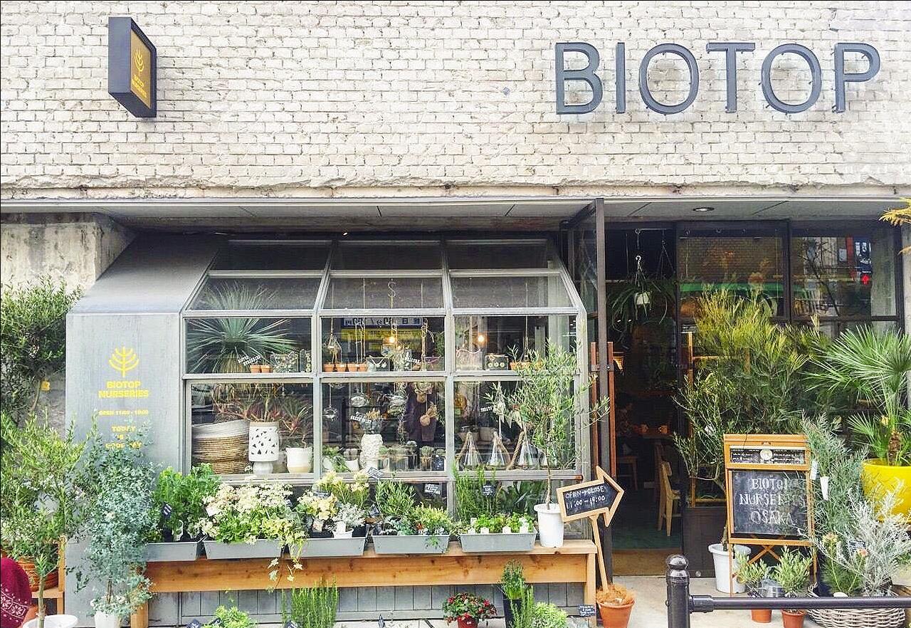 大阪必买的购物攻略,大阪必逛超市