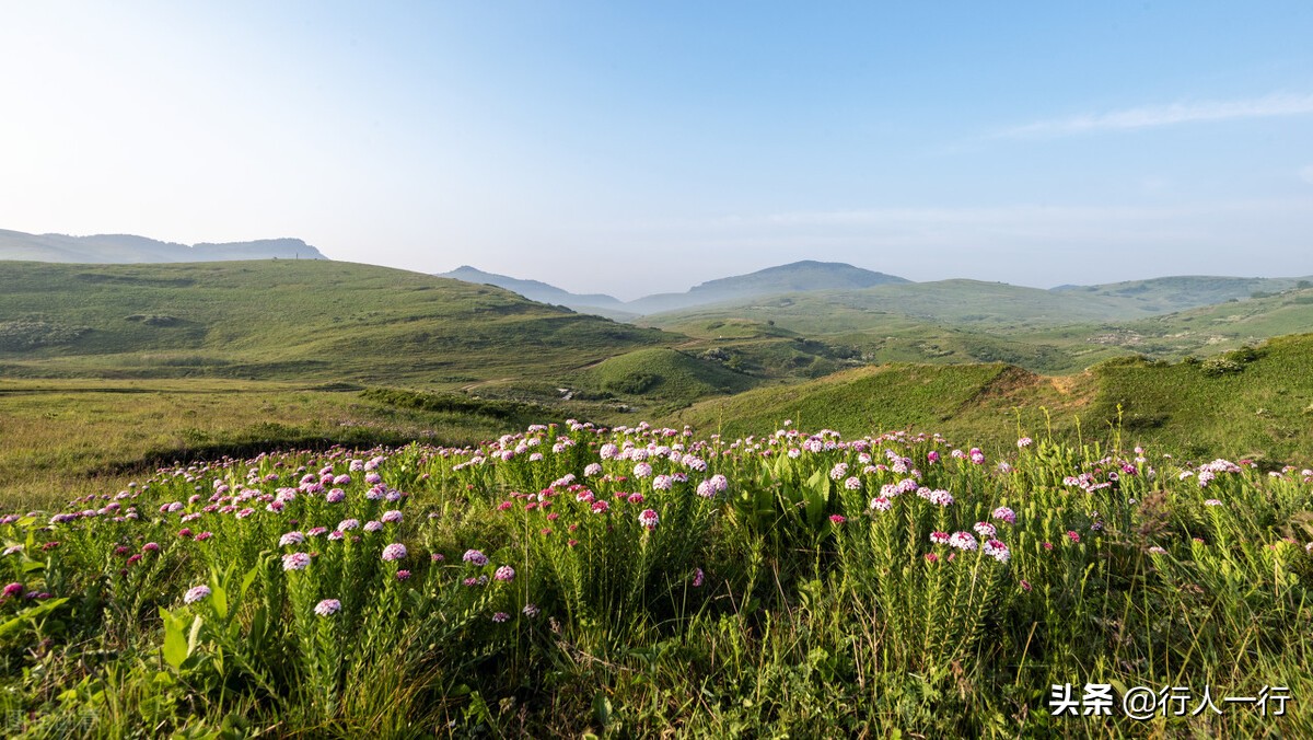 华北最大的亚高山草甸圣王坪,华北最大的亚高山草甸
