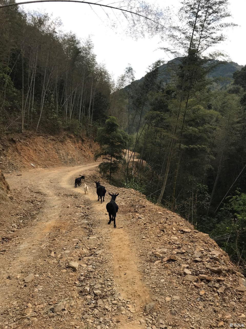 2022途观l气场,途观l2021款落地价2.0t