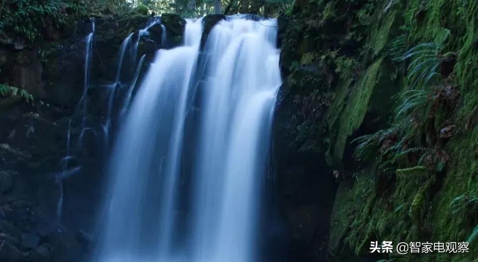 李佳琦山本空气炸锅,山本空气炸锅李佳琦直播