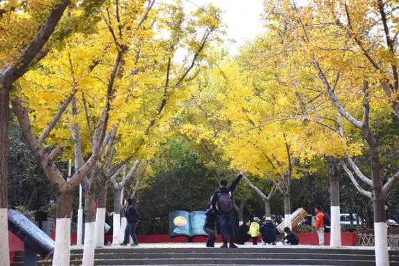 秦皇岛求仙入海恐龙馆,秦皇岛秦始皇求仙入海处遗址图片