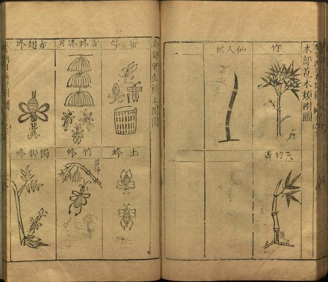 李时珍本草纲目书目录,李时珍本草纲目下卷