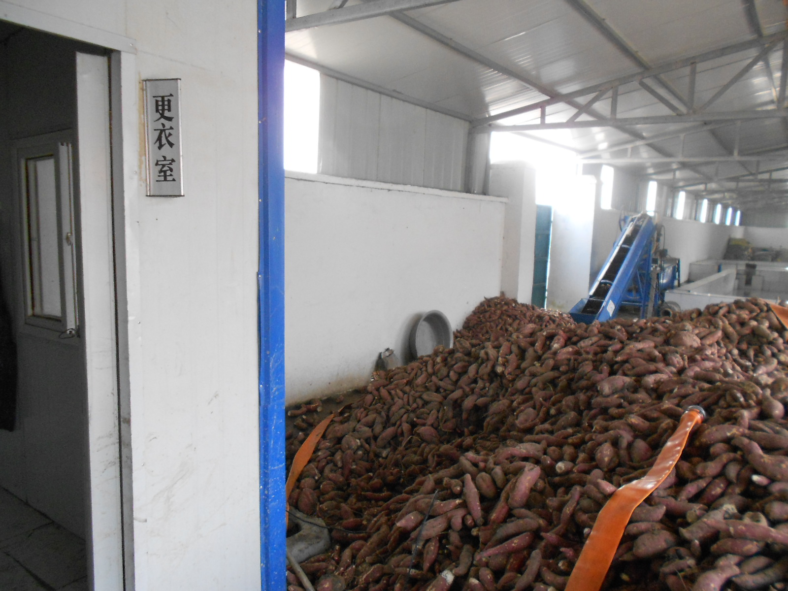 董湖粉丝美味+风味+农业历史，让你开足美食模式