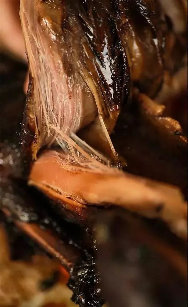 关于你不知道的地方,了解綦江