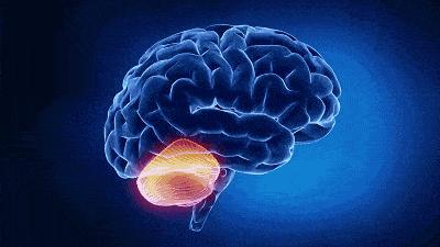 缺乏维生素d会导致抽搐吗,缺乏维生素d会导致焦虑症吗