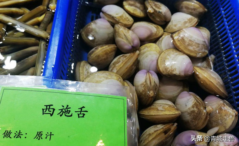 青岛海边哪些贝类好吃,青岛特色小蛤蜊
