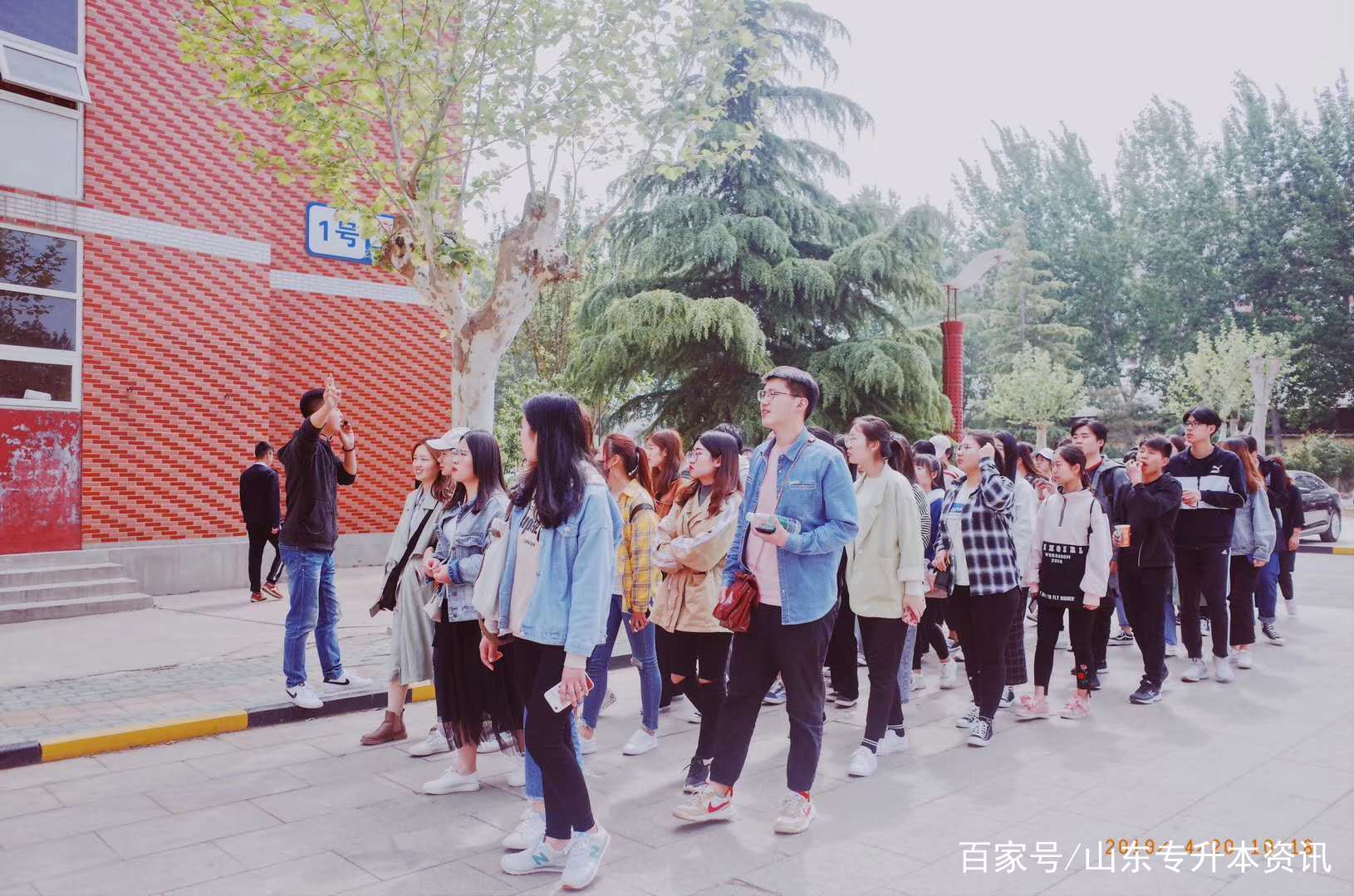 山东专升本2020高数2考试的专业,山东专升本自考和成考哪个难