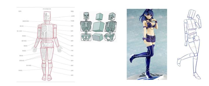 如何画人体结构动漫人物,漫画人体结构如何画
