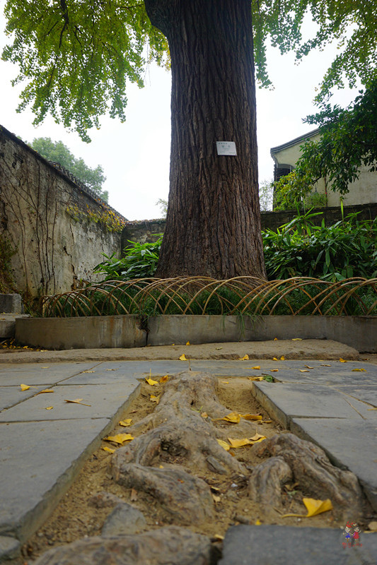 康熙乾隆12次下江南，却去了惠山古镇14次，一个小镇到底藏了啥？