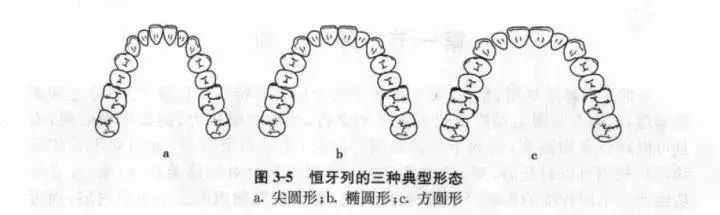 用美牙仪牙齿疼,美牙仪真的有用吗