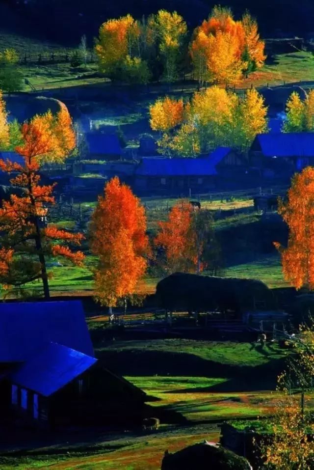 阿勒泰秋季旅行,新疆旅行阿勒泰秋天