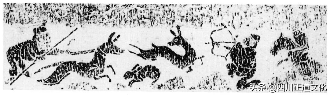 猫的故事高清图片,盘点猫的曾经故事