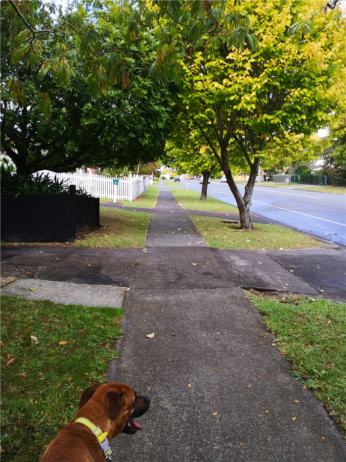 新西兰居住时间,新西兰居家办公