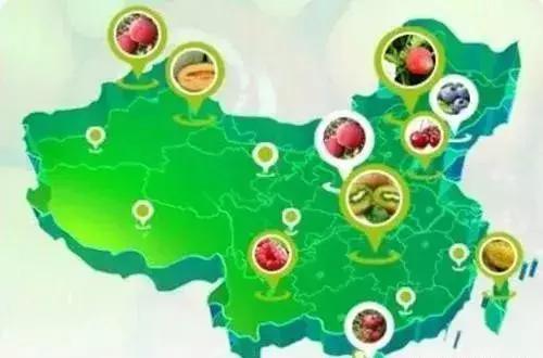 拼多多和阿里扶贫对比图,深度阿里