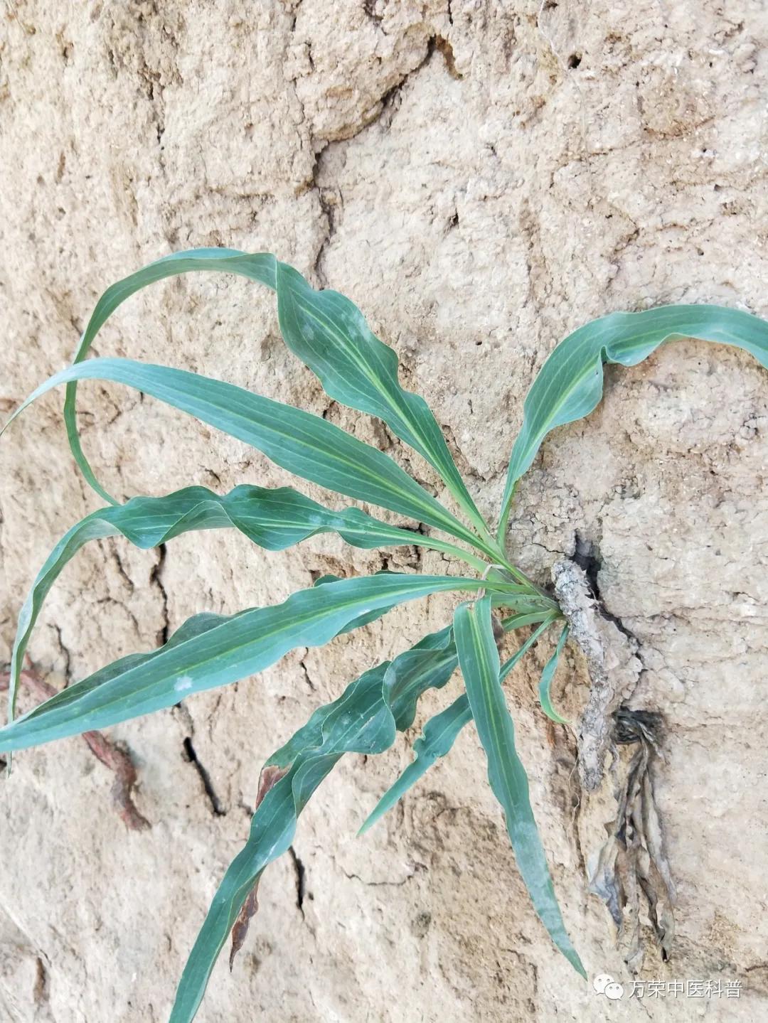 跟我回家在线免费看,跟我回家免费看