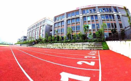 重庆南岸区公立小学学校,重庆南岸区小学排名一览表