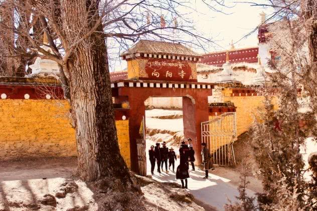 四川省理塘县旅游形象大使丁真,丁真四川甘孜理塘县旅游形象提升