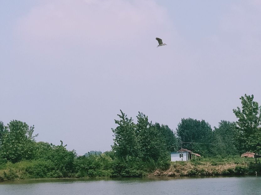 老罗垂钓现场,老罗垂钓园在哪