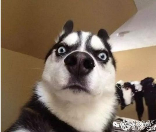 yeelight便携式美妆镜,yeelight手持式便携化妆镜