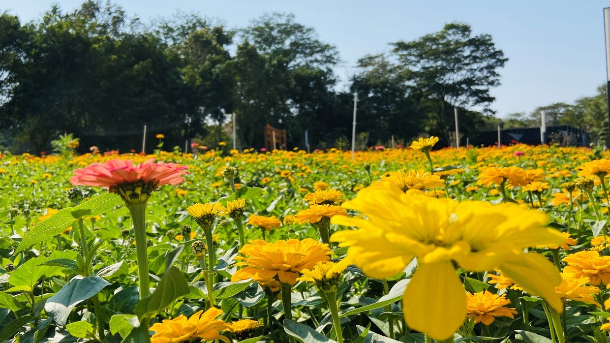 请回答2021文案开头,请回答2021演讲稿