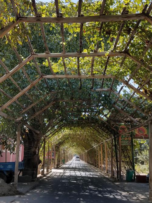 刘巧珍美丽善良痴情隐忍,刘巧玲诗句