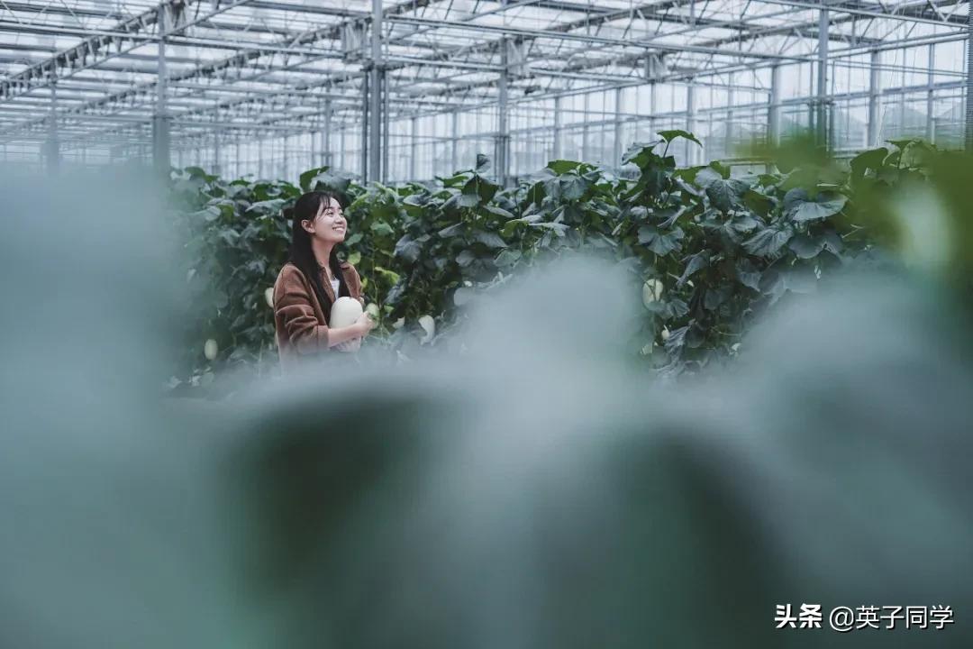 南昌农家乐采摘一日游,南昌采摘农家乐