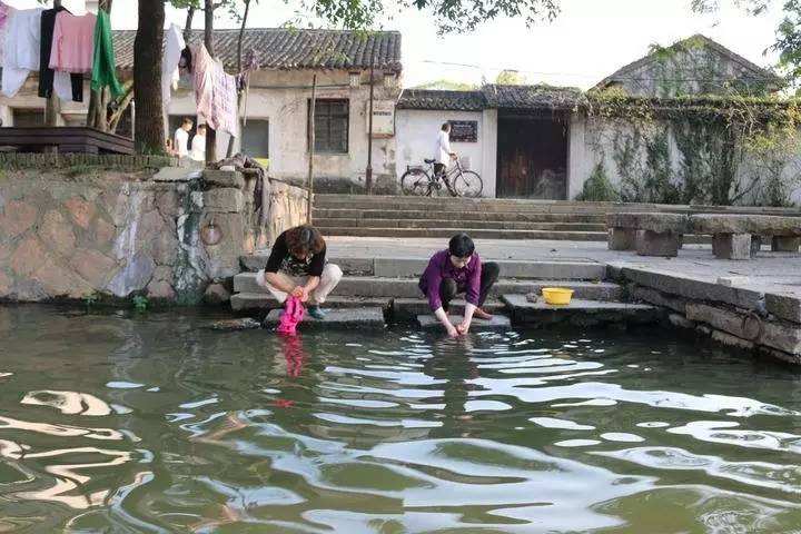 已经有很多人开始吸这种鱼，你却还没有正眼看过它