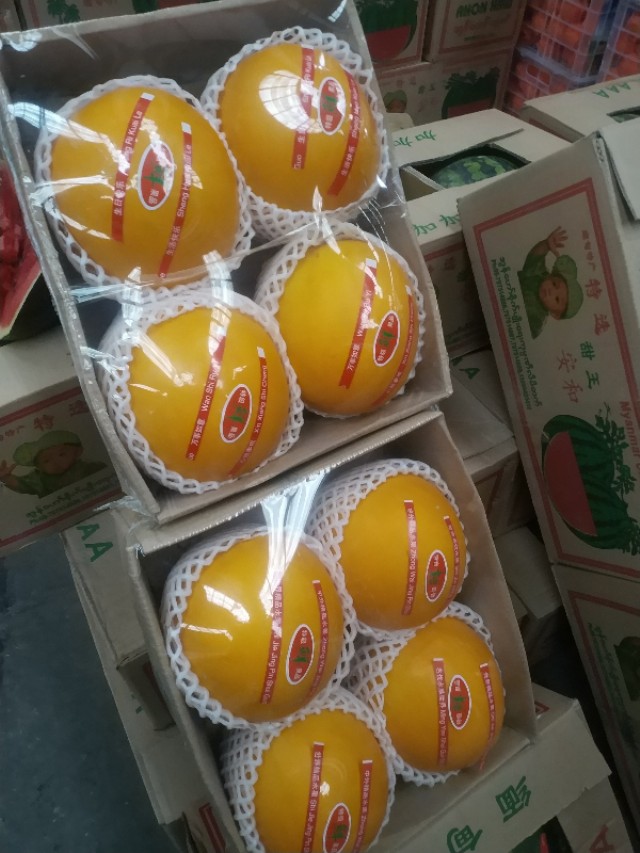 郑州万邦蔬菜市场行情明天播报,郑州万邦蔬菜批发市场7月5日价格