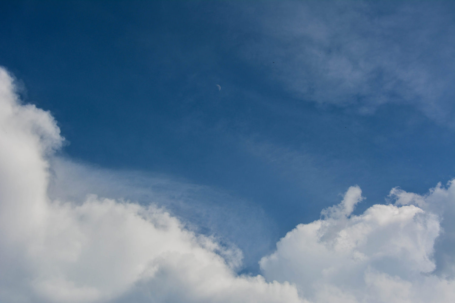 设计师福利模板,设计师必备100件用品