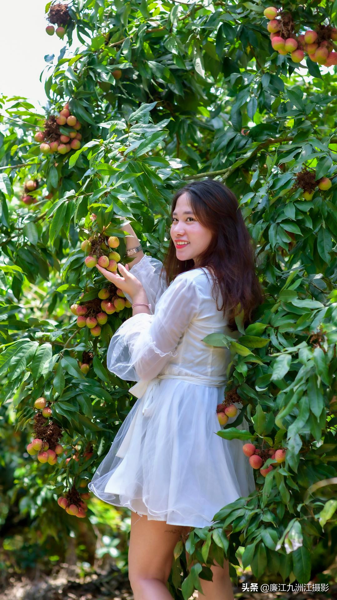 湛江市廉江荔枝节开幕式视频,廉江荔枝文化节