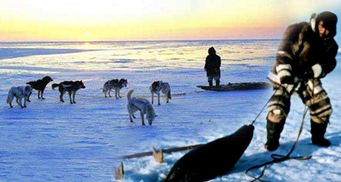 吃生肉埃塞俄比亚人,吃生肉埃塞俄比亚