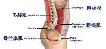 颈肩和腰痛的自我诊断,肩颈腰痛怎么引起的