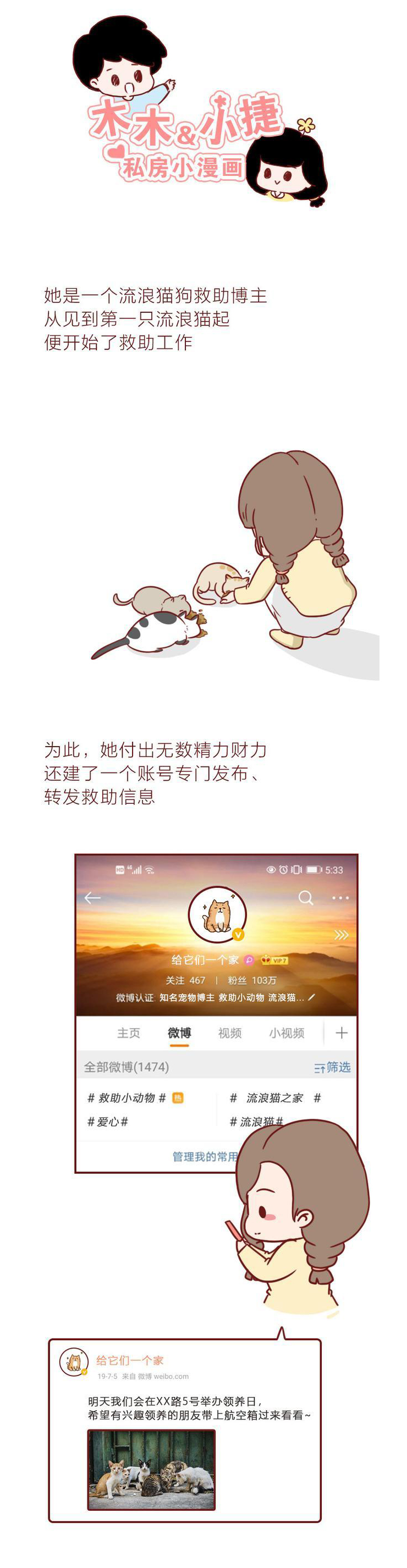 因为救助流浪猫，女生被道德绑架，网友评论：看着就恶心