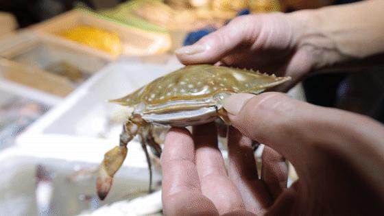 一年一度的开渔季,开渔季味蕾狂欢之旅