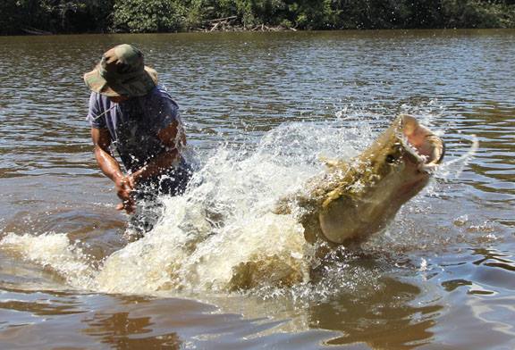 钓亚马逊神秘鱼种,游钓亚马逊河纪录片
