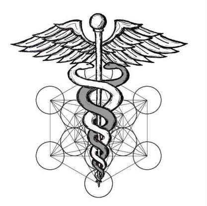 Pythonrequests库的作者Kenneth,其开挂般的人生实在令人羡慕