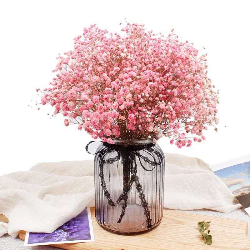 满天星的花语,满天星的花语给客户怎么说