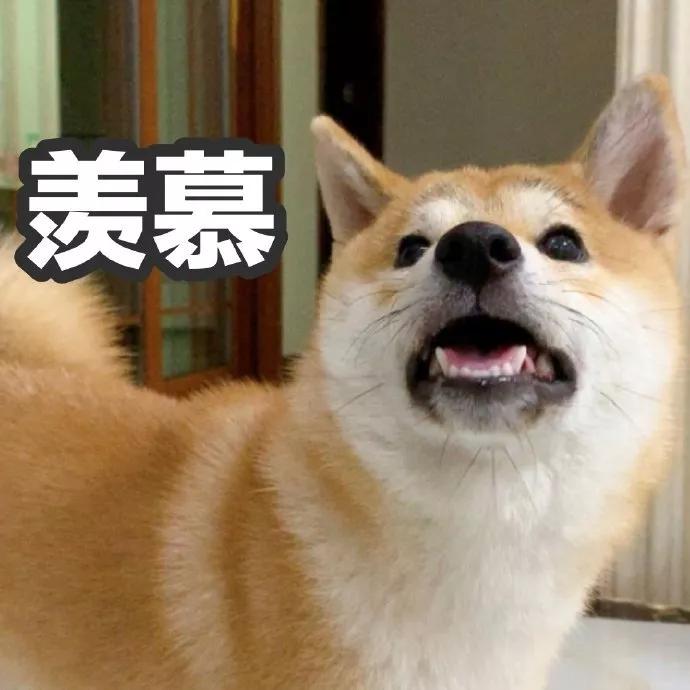 日登录用户220万的「腐女天堂」长啥样？