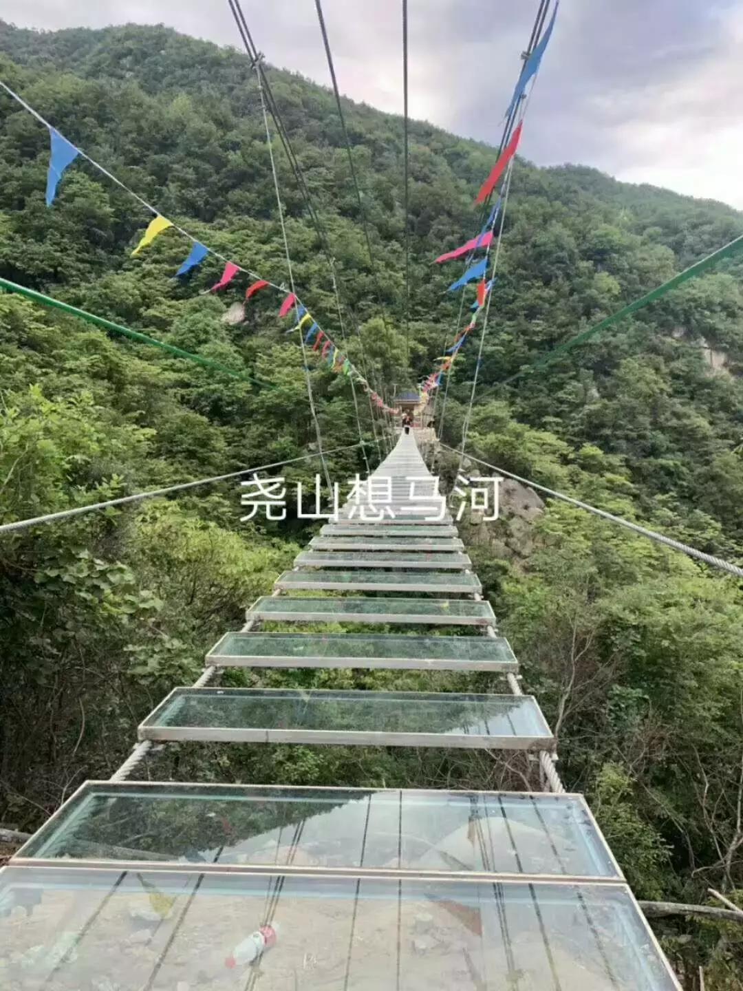 县长带你去旅行,县长带你游府谷